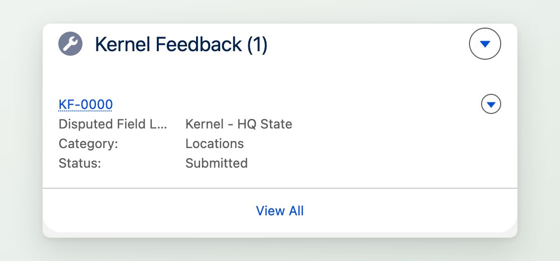 The Kernel Feedback related list on a Kernel Account record, showing a submitted feedback item with its disputed field, category, and status.