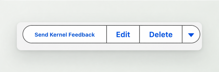 The Send Kernel Feedback button in the action bar of a Salesforce record.