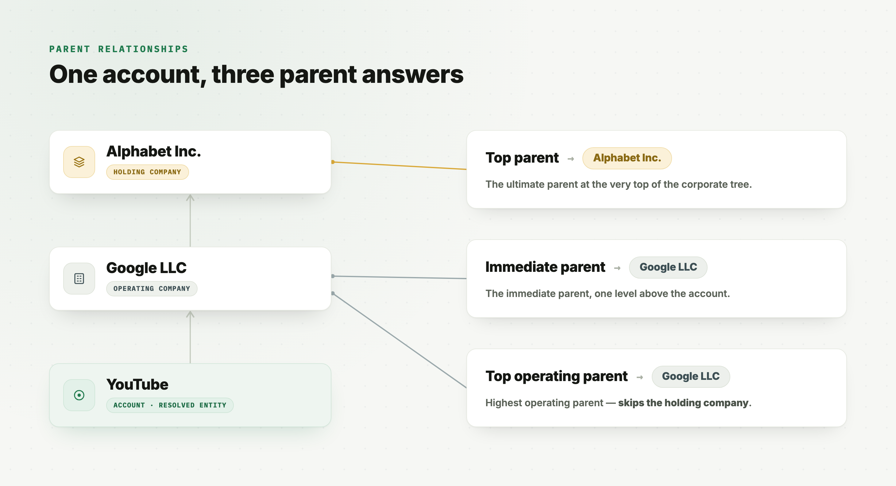 Corporate tree for YouTube: the immediate parent and top operating parent both resolve to Google LLC, while the top parent resolves to Alphabet Inc. at the top of the tree