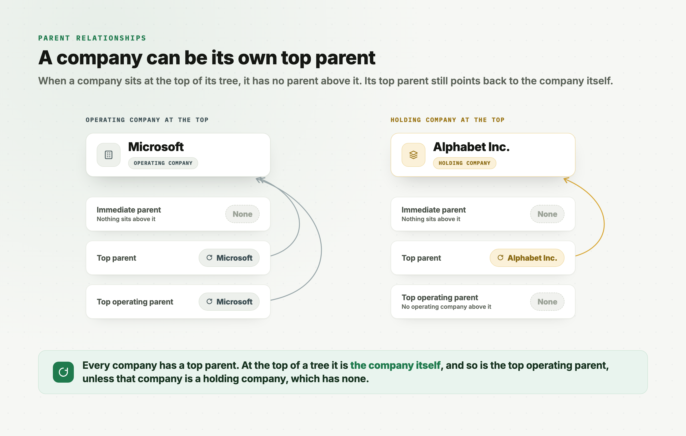Two companies at the top of their trees. Microsoft, an operating company, is its own top parent and its own top operating parent. Alphabet Inc., a holding company, is its own top parent but has no top operating parent.